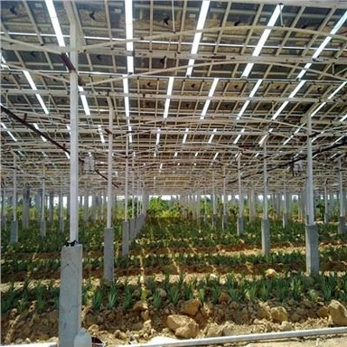 Estruturas de fazendas solares fotovoltaicas