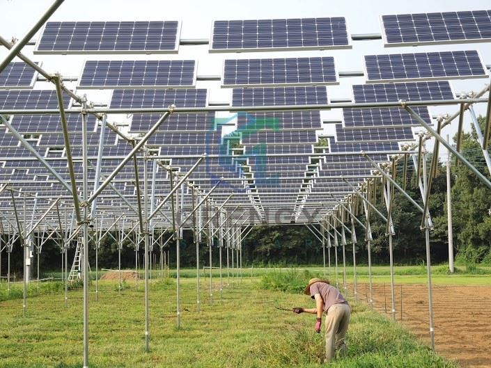 Agriculture Solar Farm Ground Mount Racking System