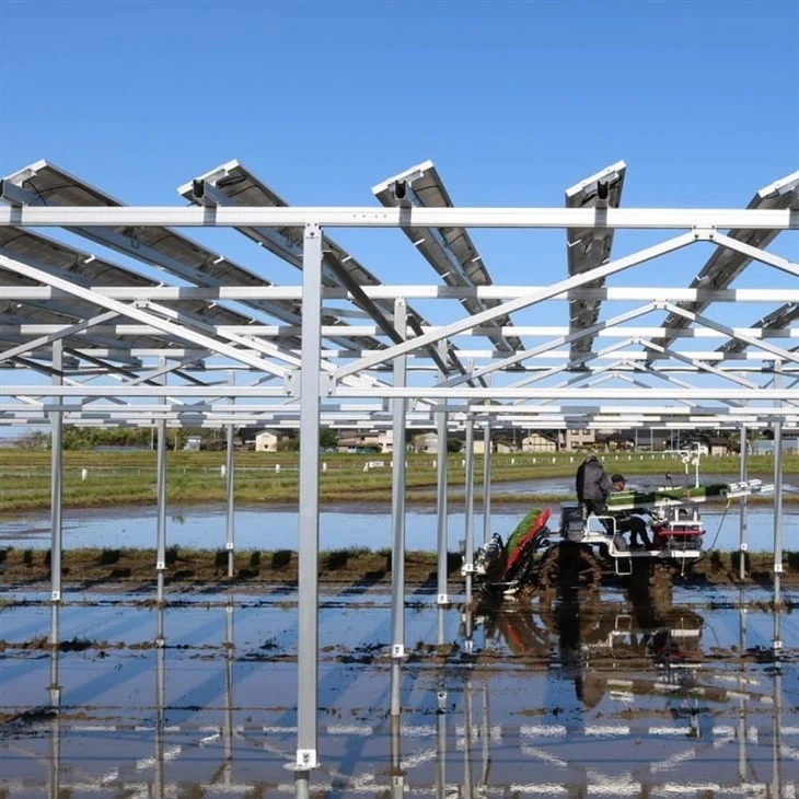 Agrivoltaics Mounting Solutions best