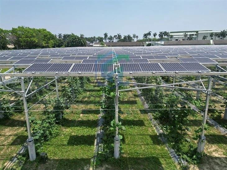 Optimized Solar Mounting Structures For Crops & Livestock best