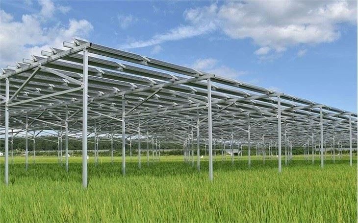 Optimized Solar Mounting Structures For Crops & Livestock factory