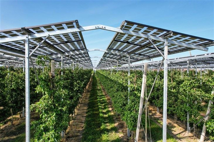 Optimized Solar Mounting Structures For Crops & Livestock high quality